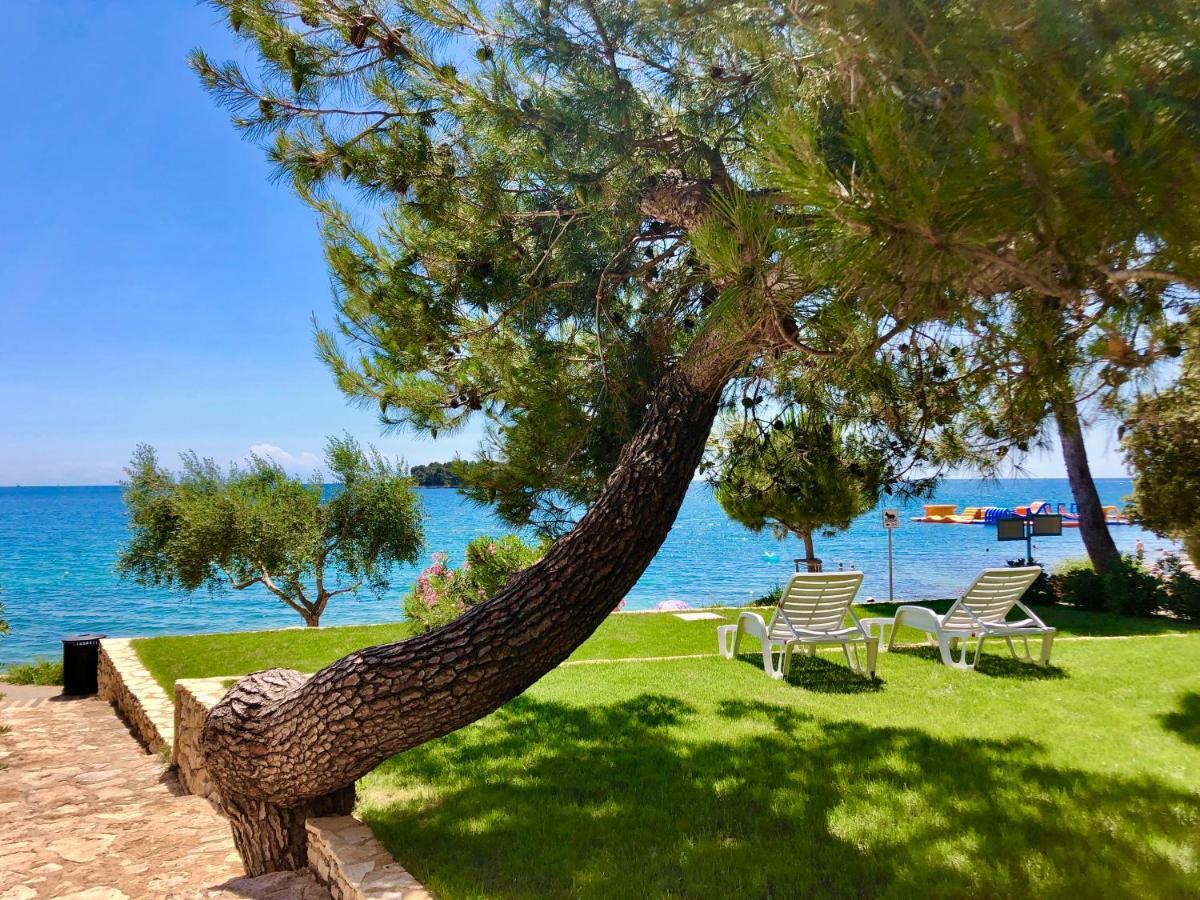 Al Mare Rovinj